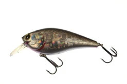 Lucky Craft FAT BDS 6 Crankbait