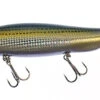 Megabass Megadog