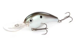 Strike King 6XD Silent Crankbait