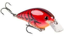 Strike King KVD Mag Square Bill 4.0